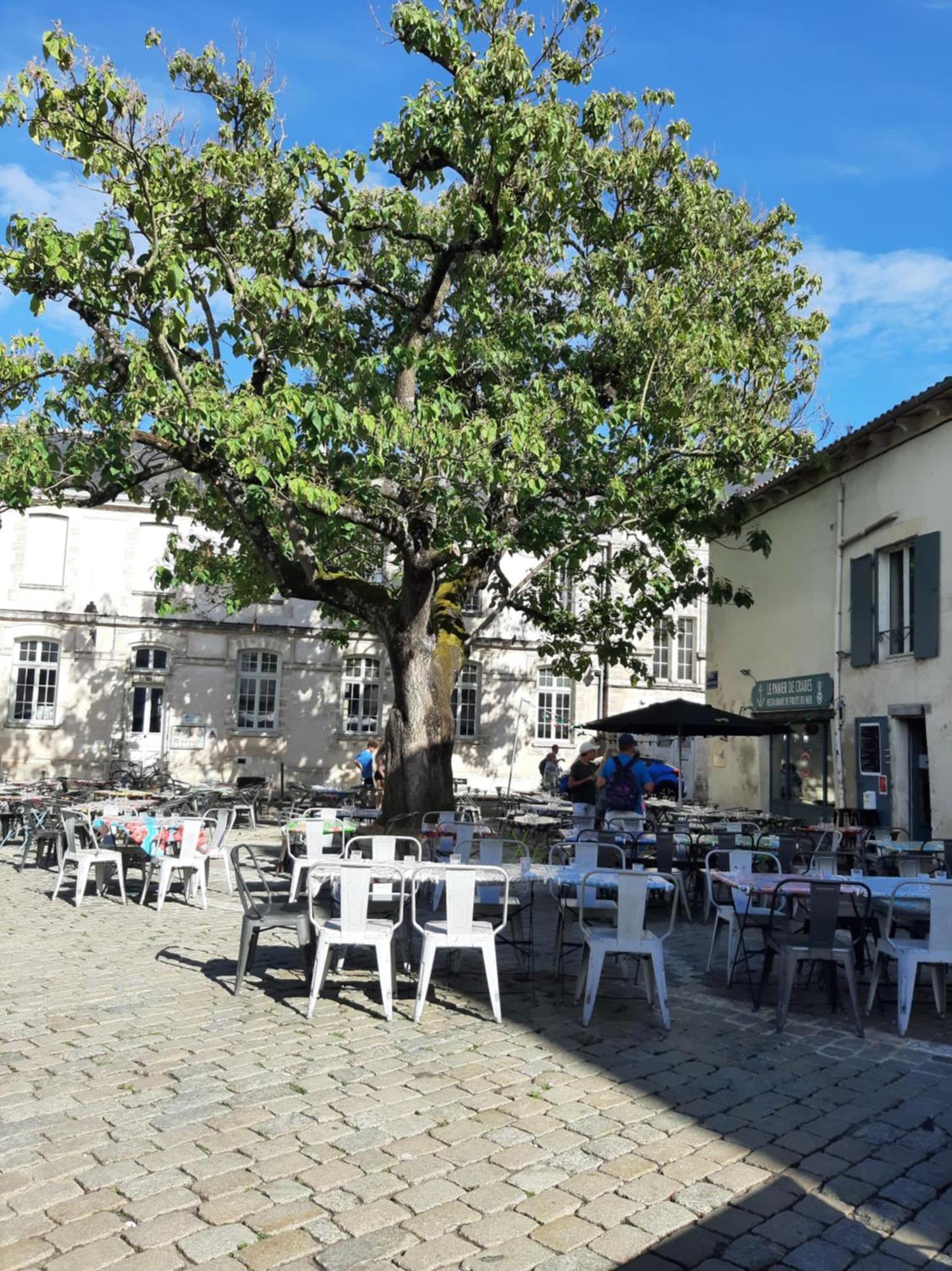 Comtesse Appartement La Rochelle  Buitenkant foto